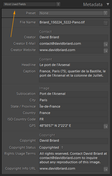 Most Used Fields tagset in the Metadata panel