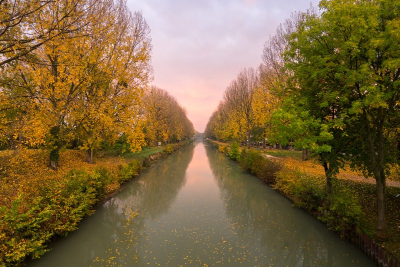 La Marne © David Briard