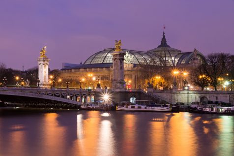 Le Grand Palais © David Briard