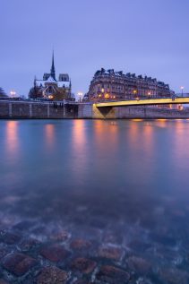 Notre Dame © David Briard