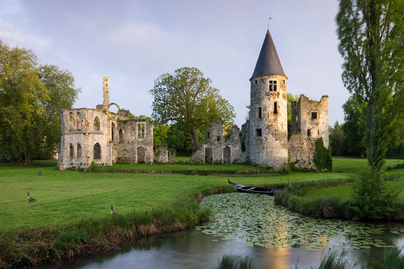 Ruines du château royal du Vivier. © David Briard