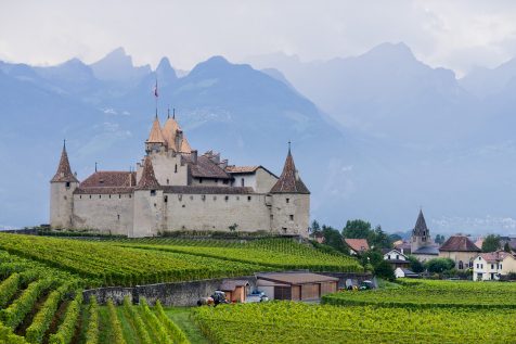 Le Château d'Aigle et son vignoble © David Briard