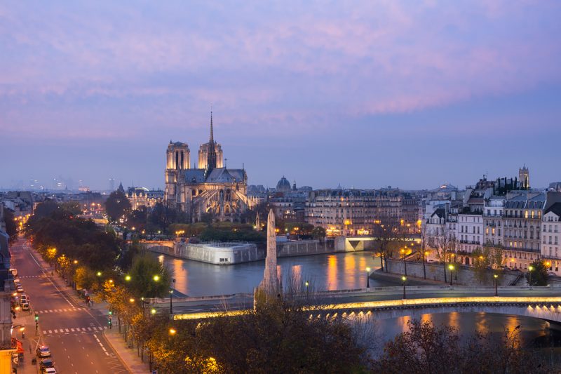 Notre Dame © David Briard