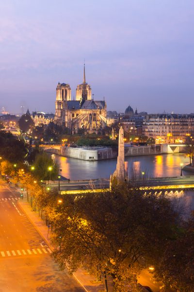 Notre Dame © David Briard