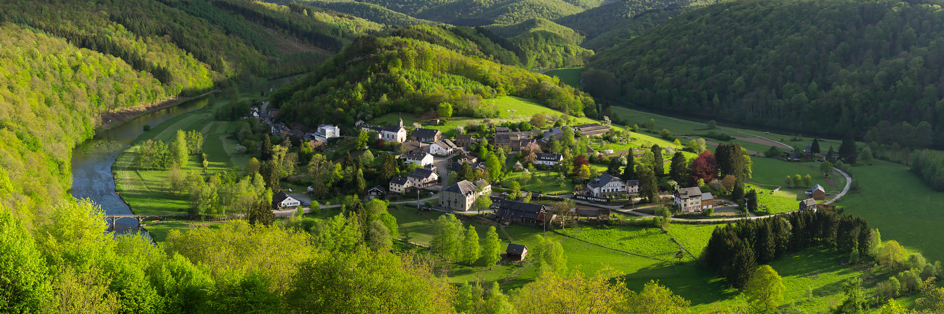 Briard_150509_0931-1920 by David Briard