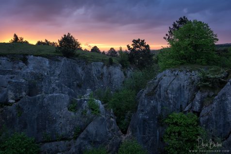 Fondry des Chiens © David Briard