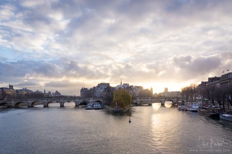 Île de la Cité au lever du soleil © David Briard