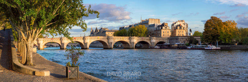Pont Neuf © David Briard