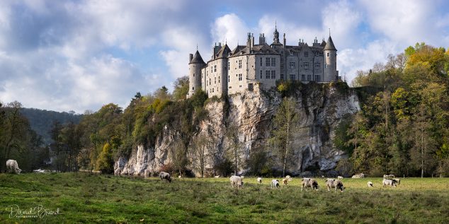 Walzin Castle © David Briard