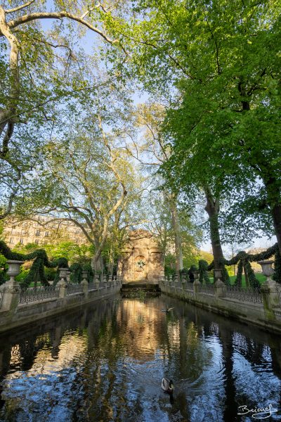 Fontaine Médicis © David Briard