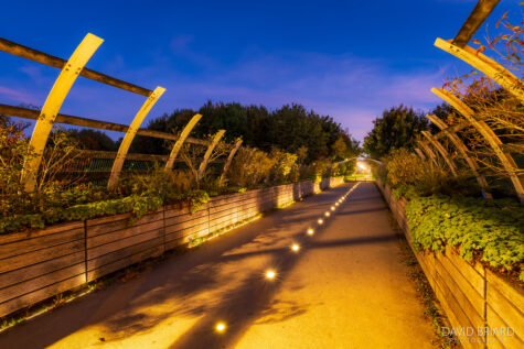 Nautilus Footbridge illuminated at dusk in Bussy-Saint-Georges © David Briard