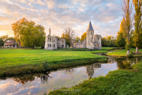 Ruines du château du Vivier en automne © David Briard