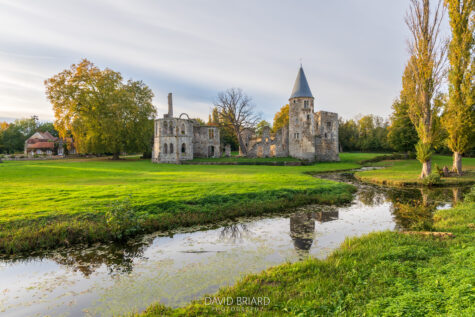 Ruines du château du Vivier en automne © David Briard