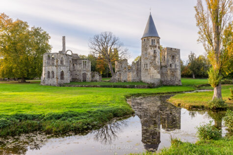Ruines du château du Vivier en automne © David Briard