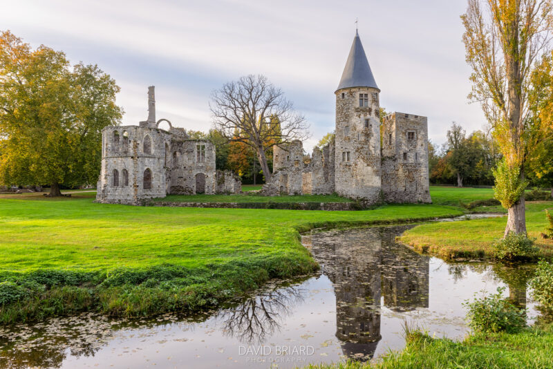 Ruines du château du Vivier en automne © David Briard