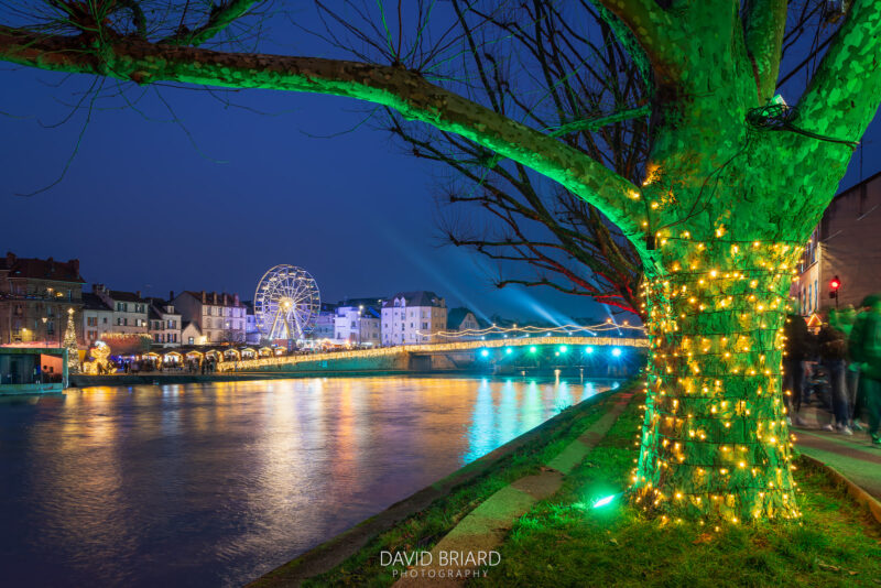 Night View of Illuminated Tree and Riverside Ferris Wheel in Tho © David Briard