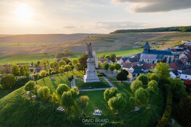 Le gardien des vignobles © David Briard